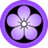 Purple Umebachi Icon